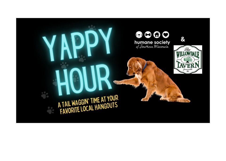 Yappy Hour BINGO Sunday at Willowdale Tavern, 5905 W. Highway 11, Janesville, WI 53548