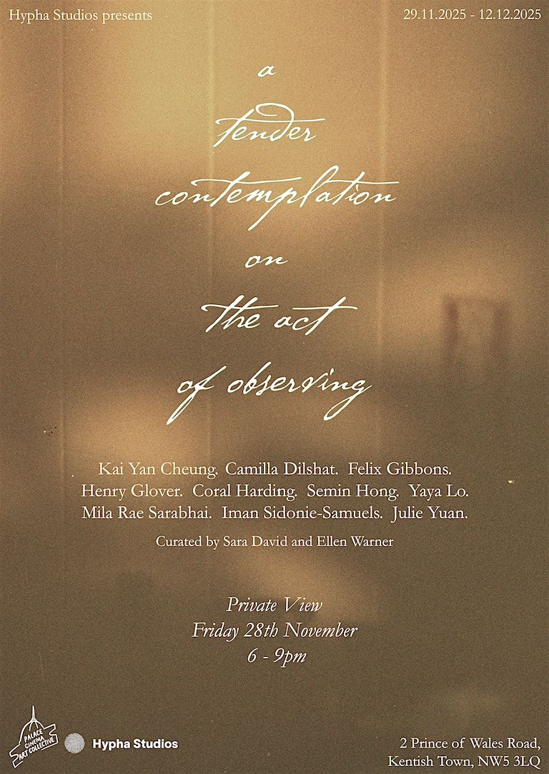 Private View: A tender contemplation on the act of observing, 28 November | Event in London | AllEvents