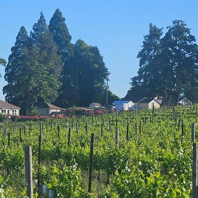 Kristin Hill Winery