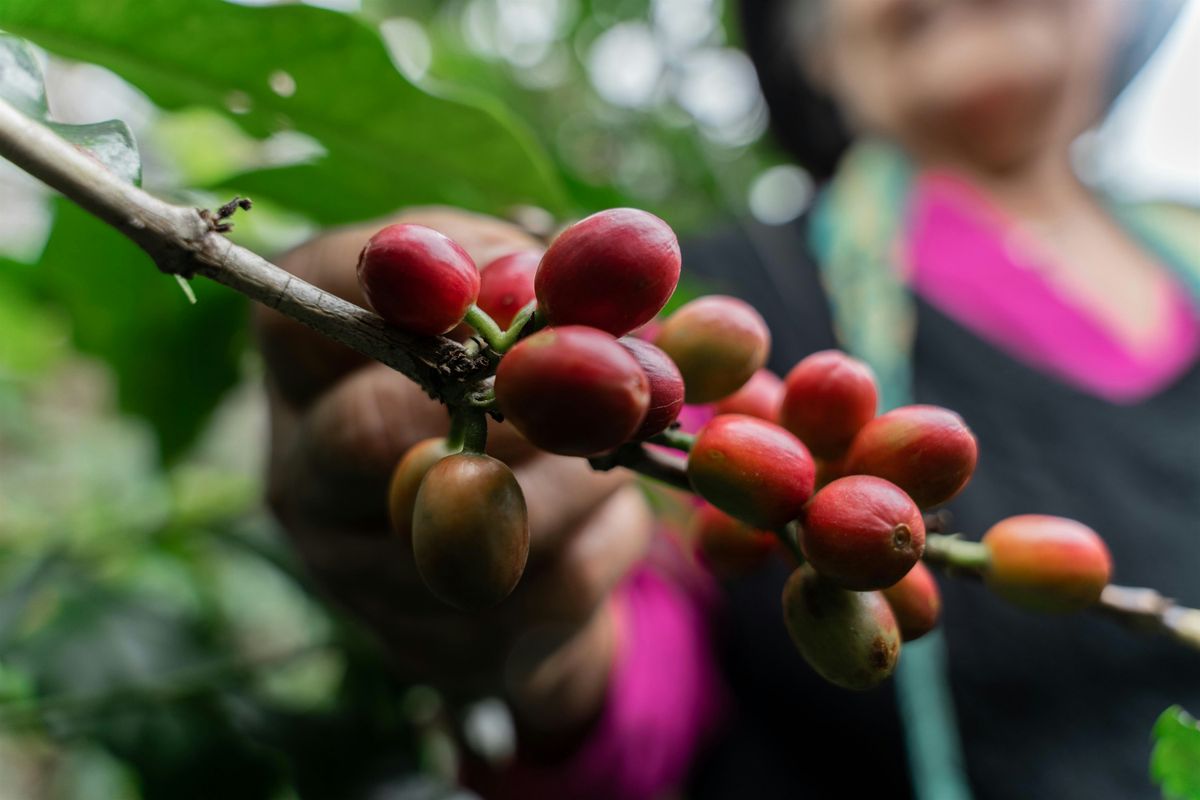 Fairtrade Talk & Tasting, 21 October | Event in Ottawa | AllEvents