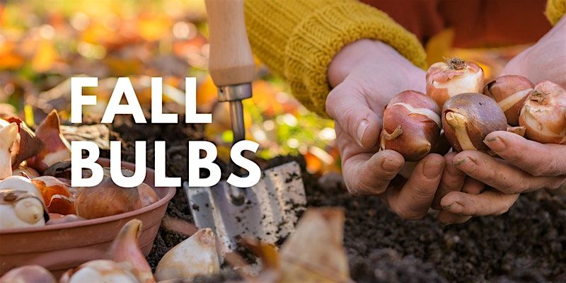 Fall Bulbs to Plant Now, 4 October | Event in Fairfax | AllEvents