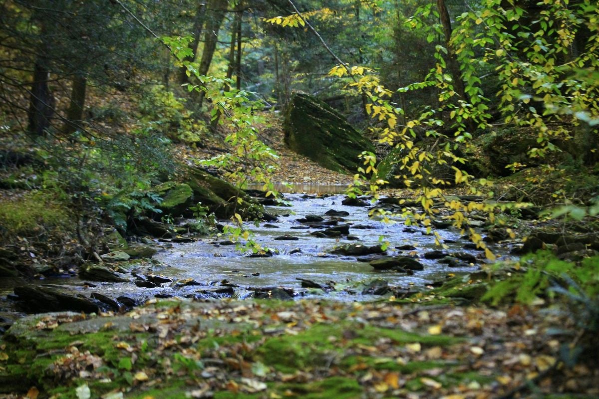 Exploration Hike: Trout Run Nature Preserve, 23 August | Event in Pequea | AllEvents