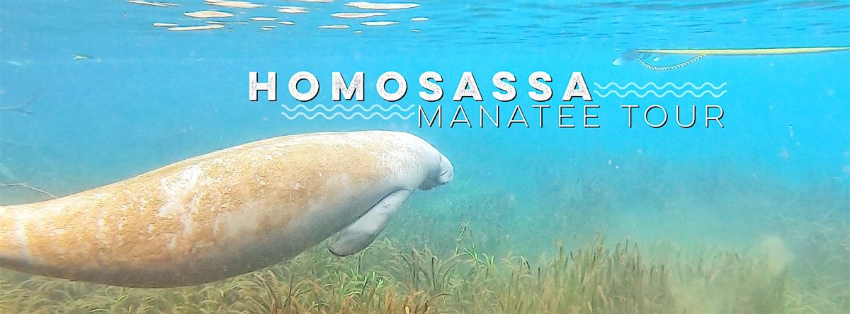Homosassa Manatee Paddle Tour, 8 November | Event in Homosassa | AllEvents
