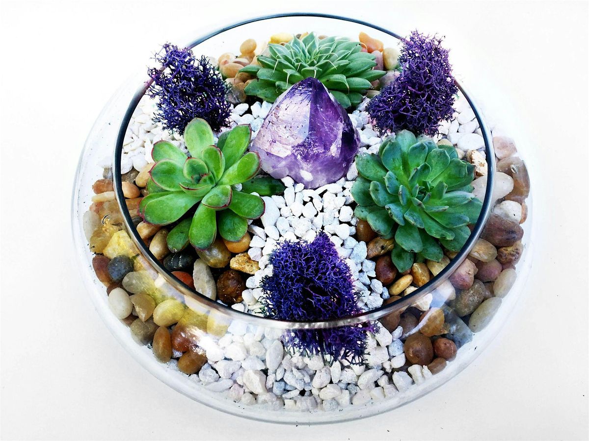 Plant Nite: Make a Succulent Terrarium | Event in Winnipeg | AllEvents