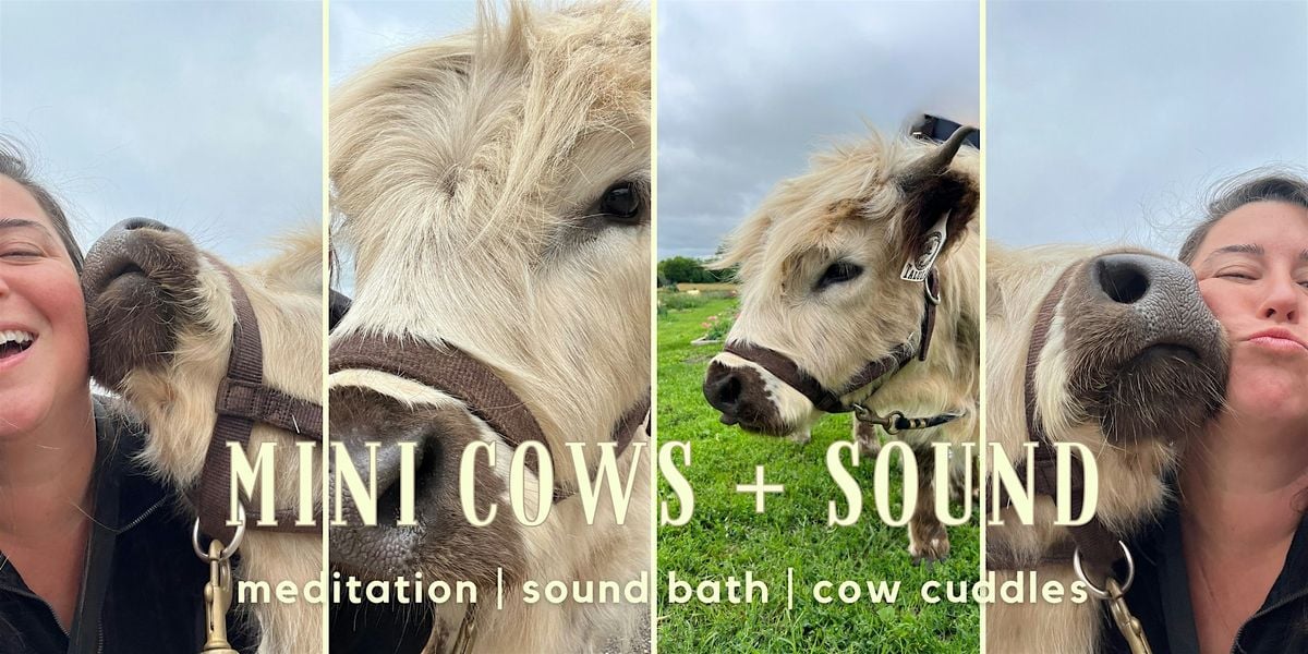 Cuddling Cows + Sound Bath, 4 October | Event in Davison | AllEvents