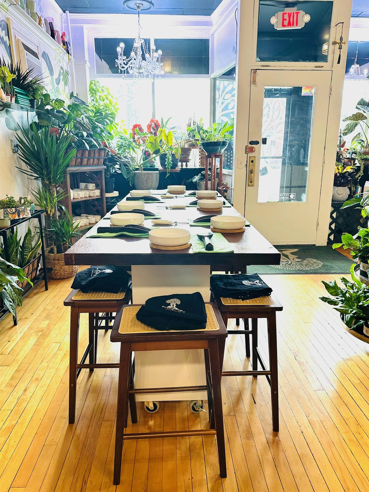 Succulent 101 Class, 22 July | Event in Fairport | AllEvents