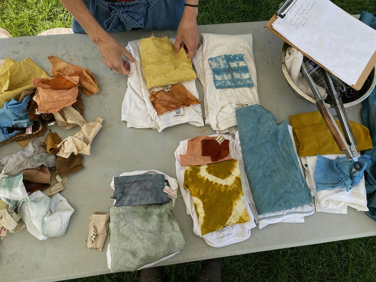 Plant based dyes: intro, 26 July | Event in Madison | AllEvents