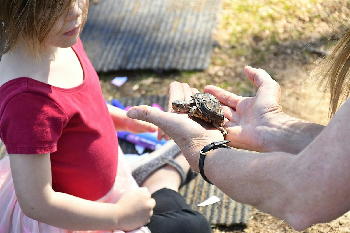 Little Explorers: Eye Spy | Event in Raleigh | AllEvents