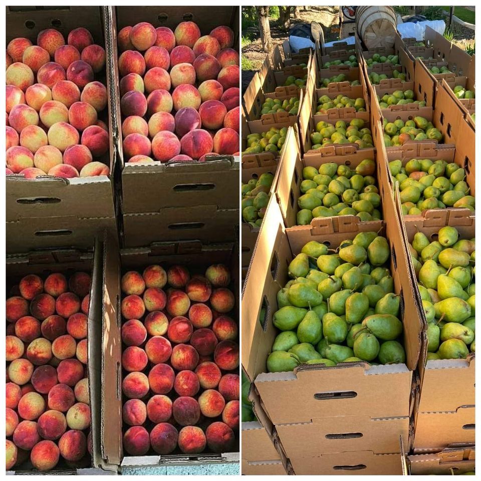 Fruit Truck Bismarck Peach Pear Delivery, Runnings Stores (Bismarck, ND