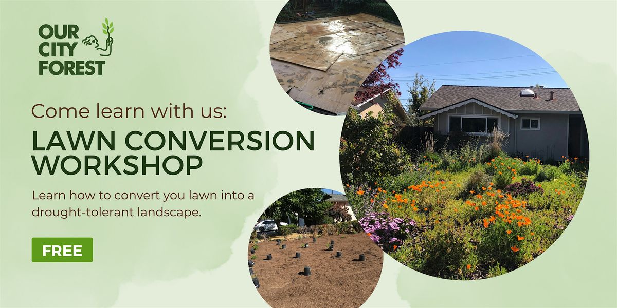 DIY Lawn Conversion Workshop | Event in San Jose | AllEvents