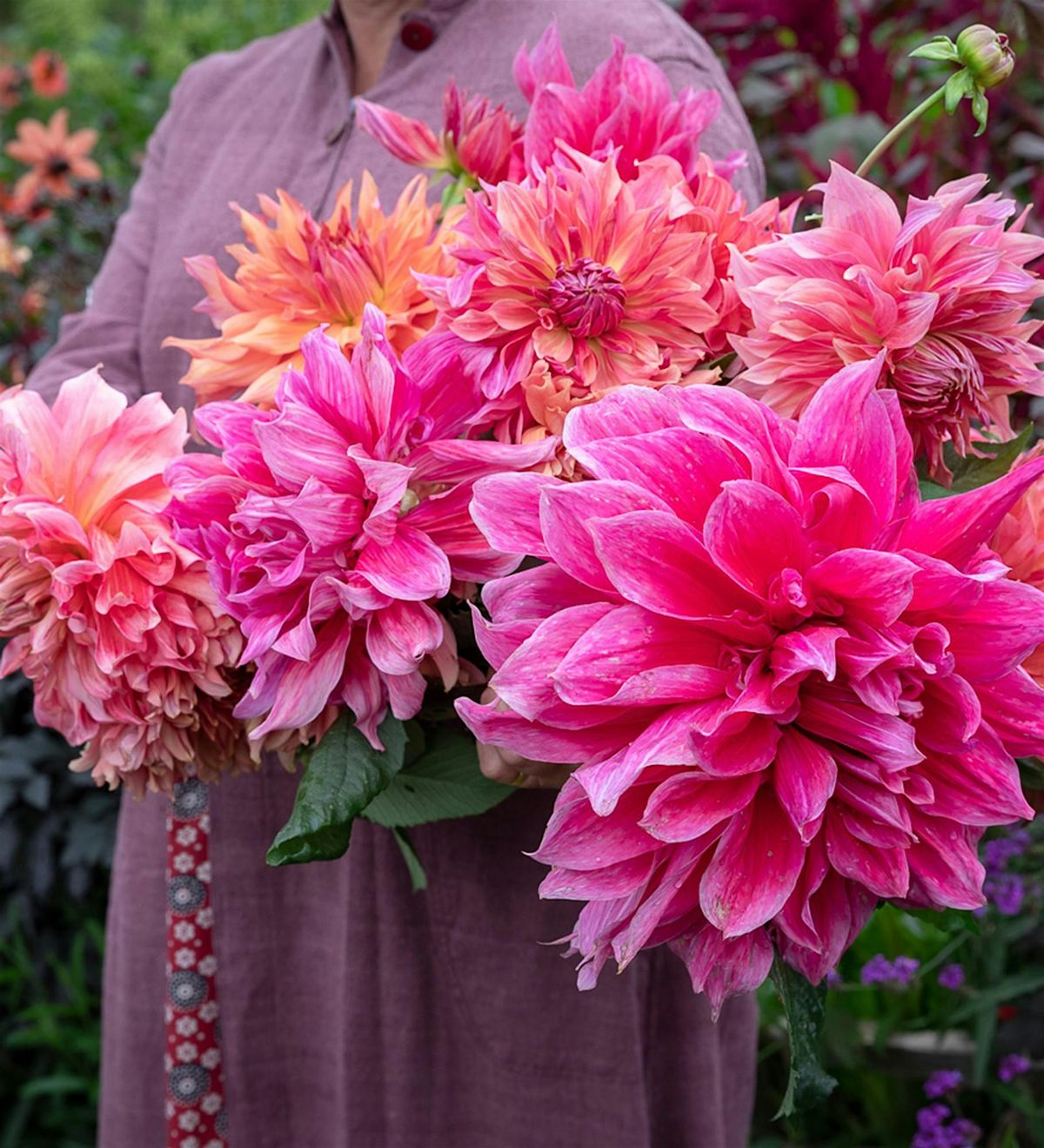 Raven Ranch Sign Perch Hill Garden Open Day - Thursday 10th September 2026, Sarah Raven ...