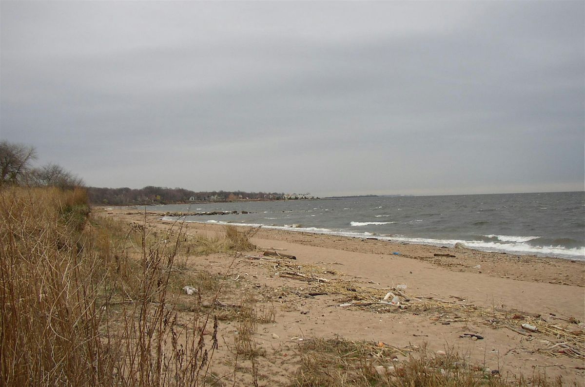 Wolfe's Pond Park & Beach Cleanup, 19 July | Event in Staten Island | AllEvents