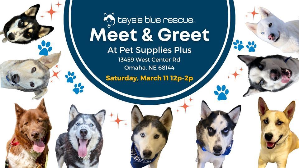 Taysia Blue Rescue Meet & Greet at Pet Supplies Plus, Pet Supplies Plus - Omaha, NE - W. Center Rd., Gretna, March 11 2023 Taysia Blue Rescue Meet & Greet at Pet Supplies Plus, Pet Supplies Plus - Omaha, NE - W. Center Rd., Gretna, March 11 2023