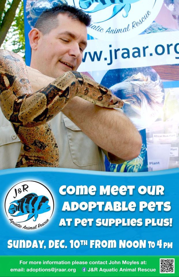 J&R Aquatic Animal Rescue Adoption Event at PSP Neenah, Pet Supplies