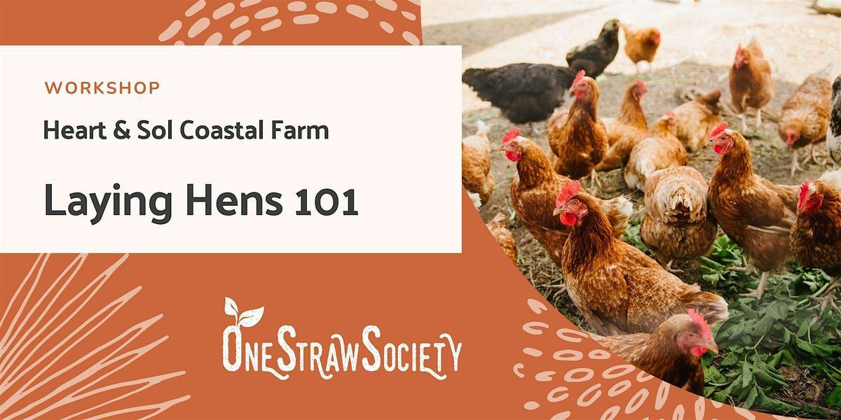 Laying Hens 101, 1 June | Event in Sechelt | AllEvents