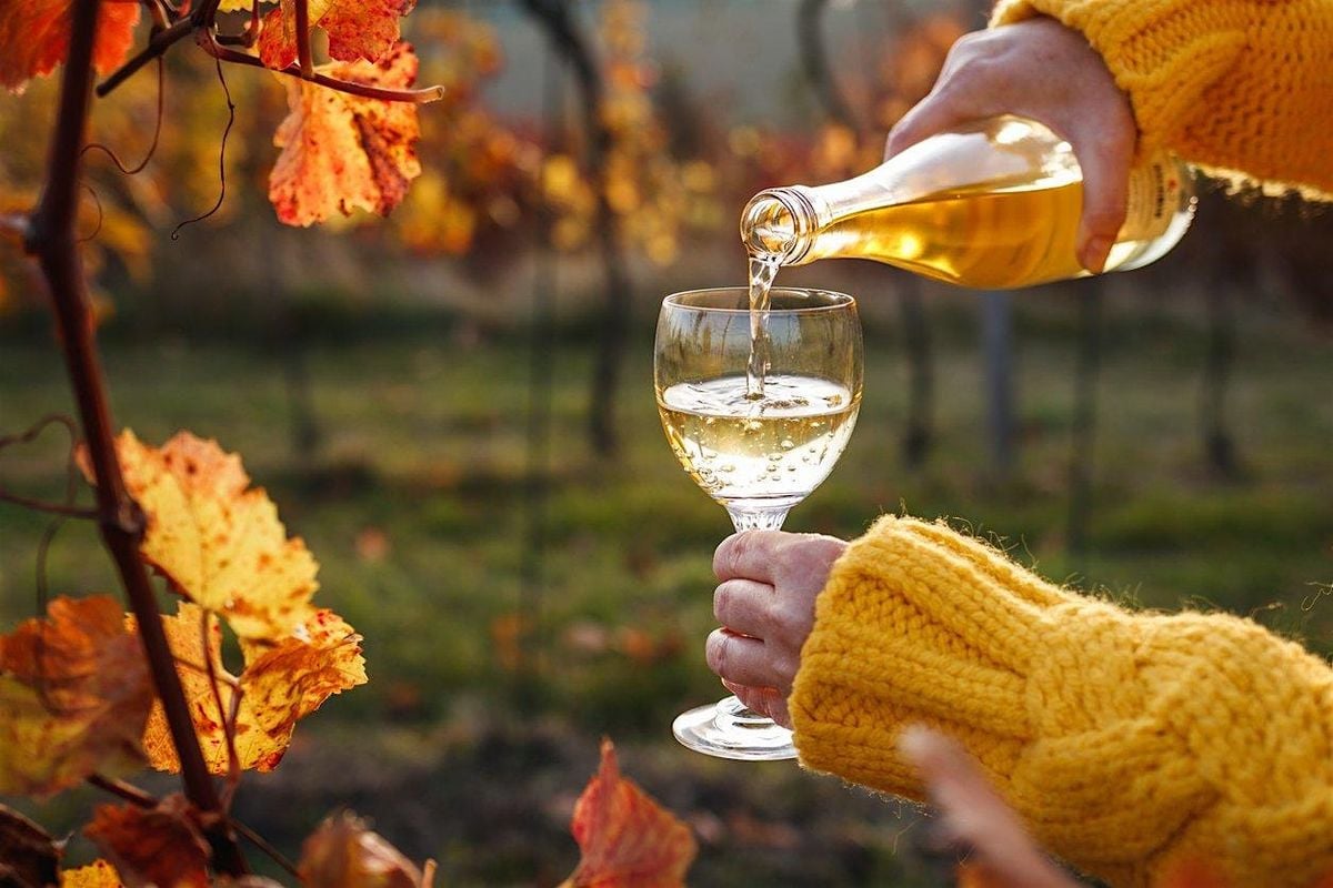 Simms  Steakhouse - Harvest and Vine Dinner, 4 September | Event in Lakewood | AllEvents