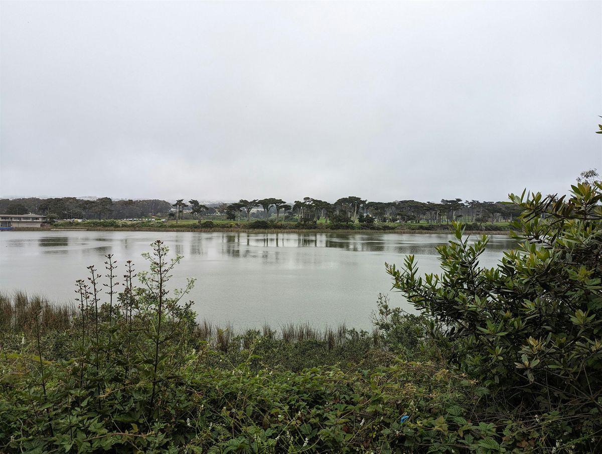 The Track to Trails Trek: Section 4 of the Roundabout, 29 October | Event in Daly City | AllEvents
