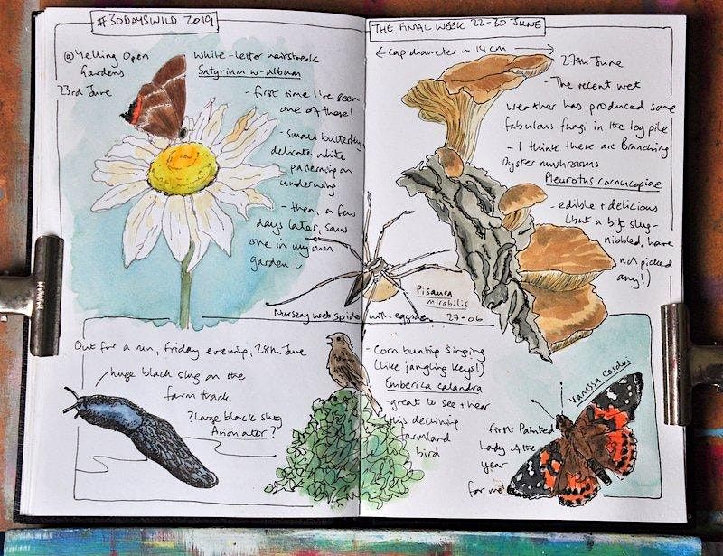 Nature Journaling with Sharon - 20th Oct PP, 20 October | Event in St.Neots | AllEvents