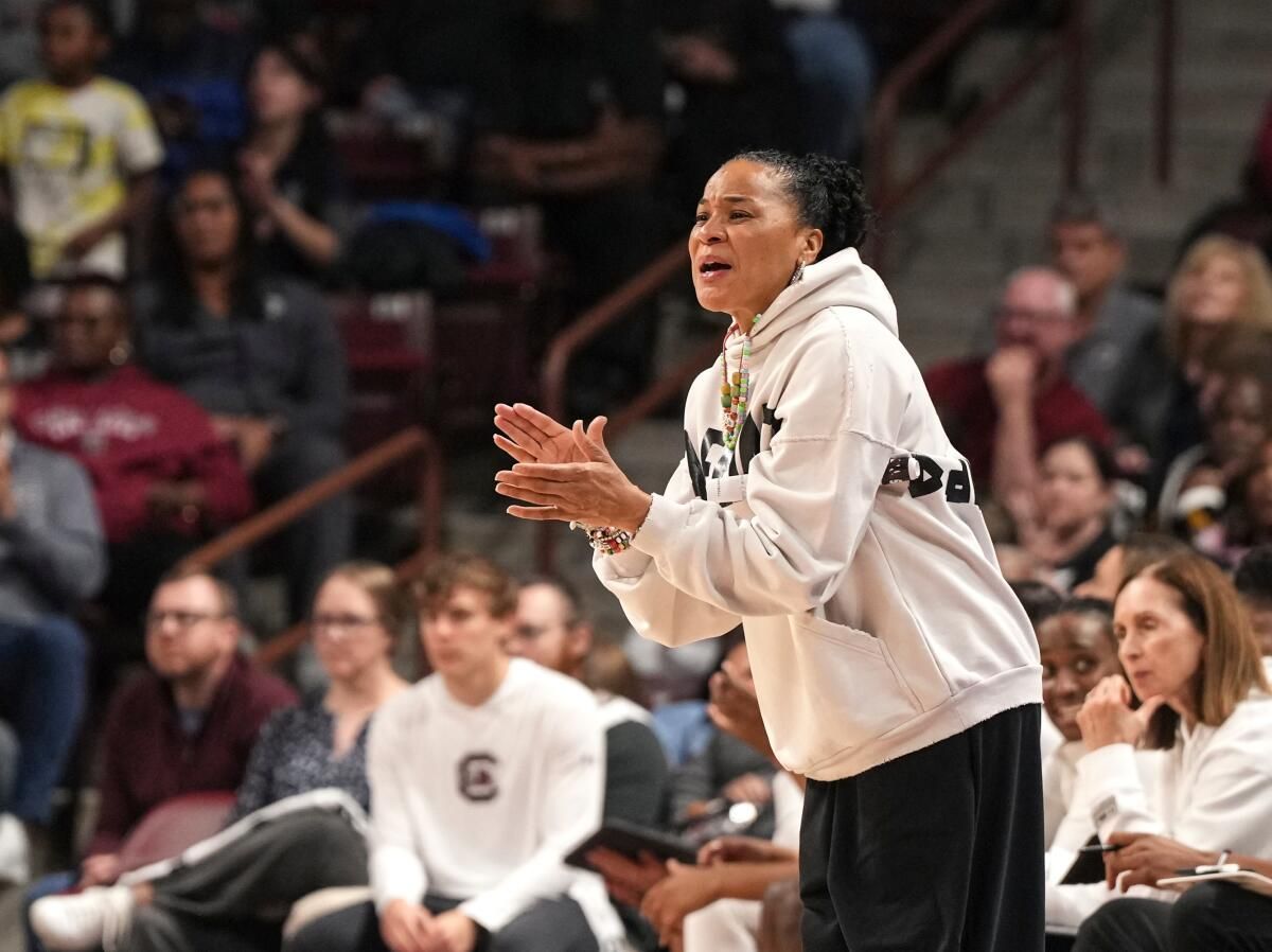 South Carolina Gamecocks vs. Davidson Wildcats, 13 April | Event in Columbia | AllEvents