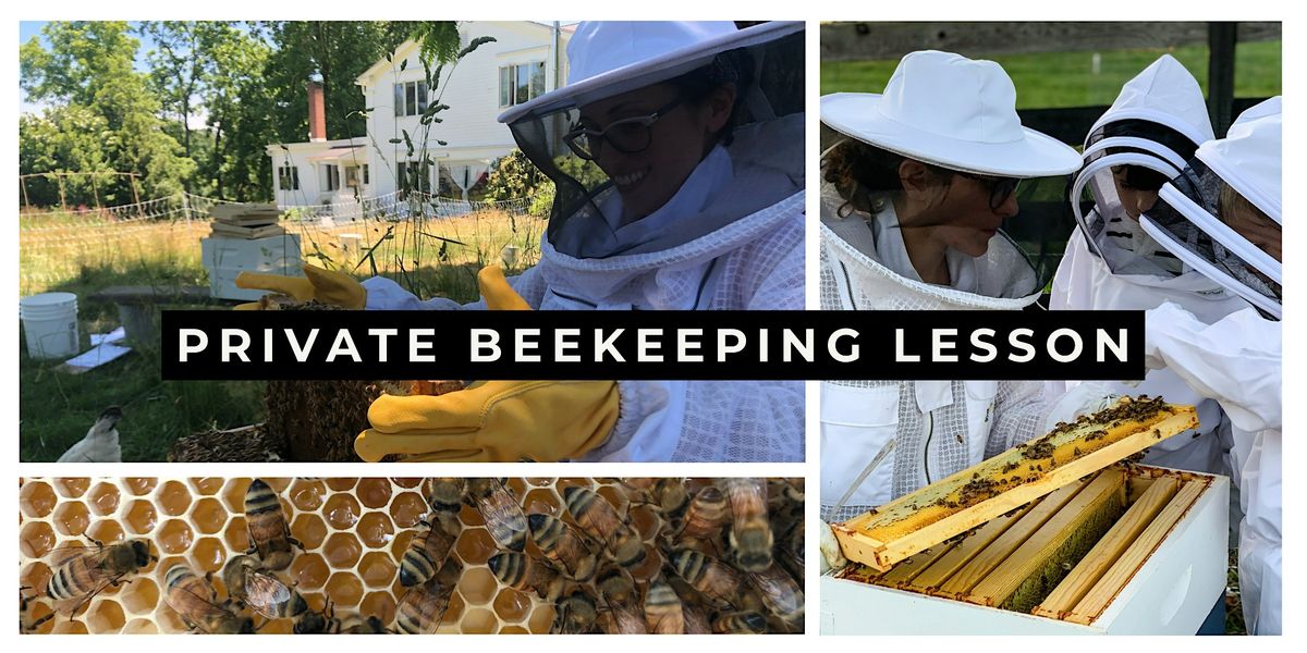 Private Beekeeping Lesson, 28 June | Event in Goshen | AllEvents