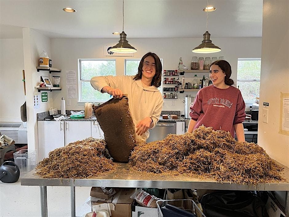Oyster Mushroom Workshop, 7 November | Event in Charlottesville | AllEvents
