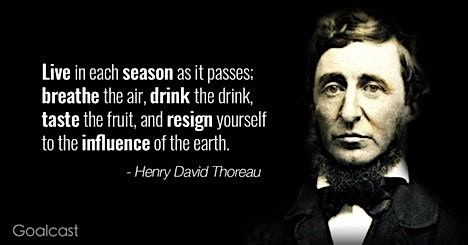"Reading the Trail" with Henry David Thoreau, 7 June | Event in Newton | AllEvents