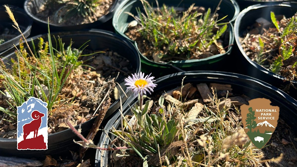 Native Revegetation Volunteer Event | Event in Estes Park | AllEvents