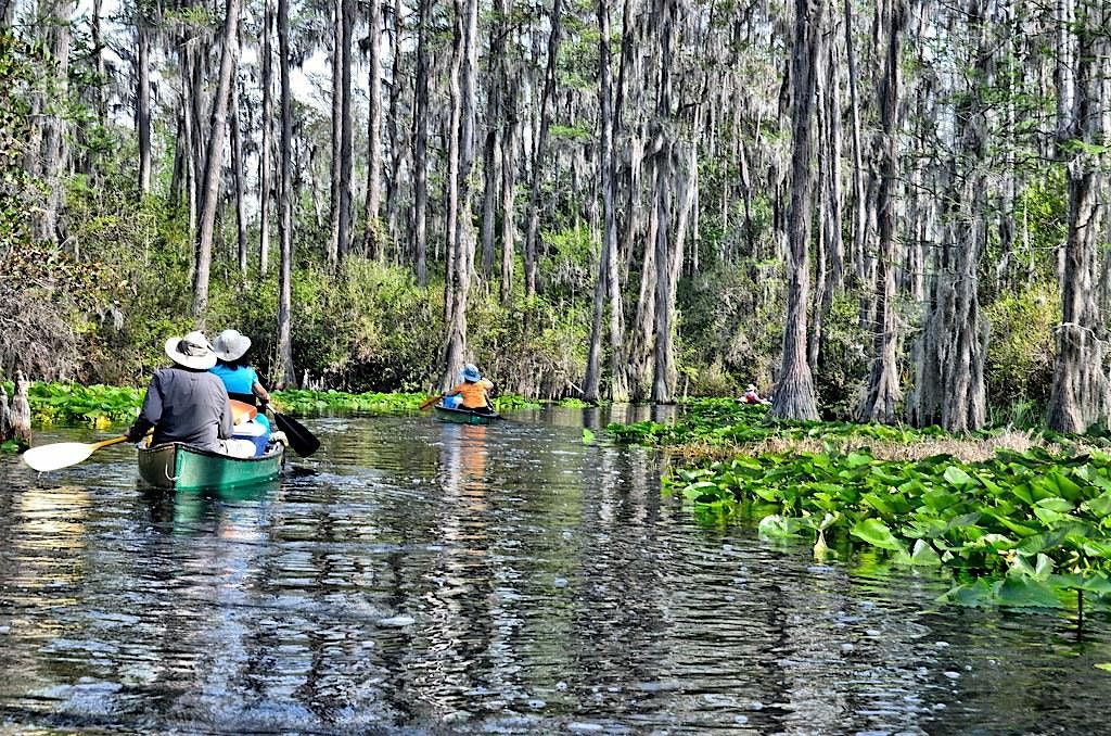 Kayaking Columbia NC, 29 May | Event in Barco | AllEvents