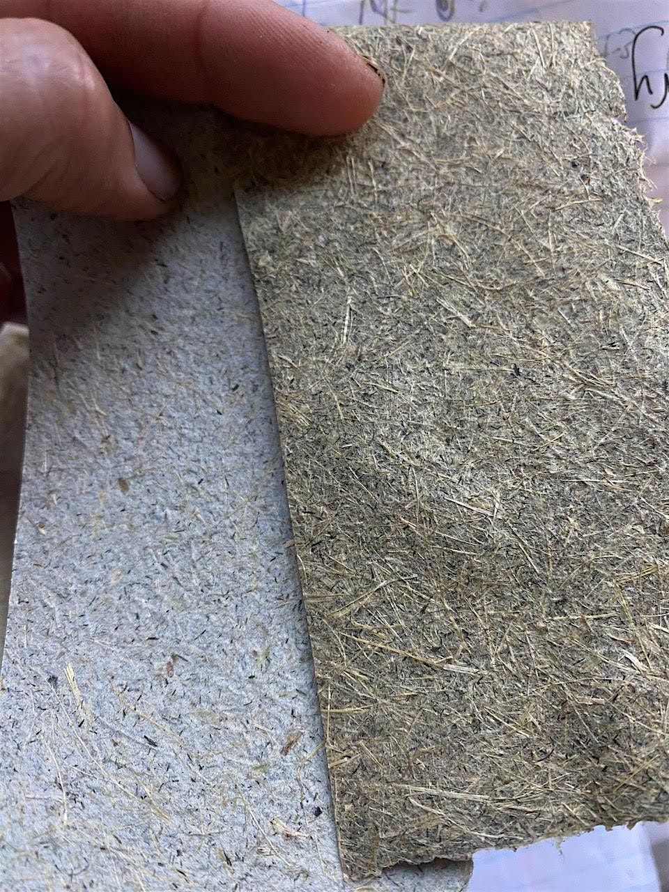 Papermaking with Invasive Species, 20 September | Event in Asheville | AllEvents