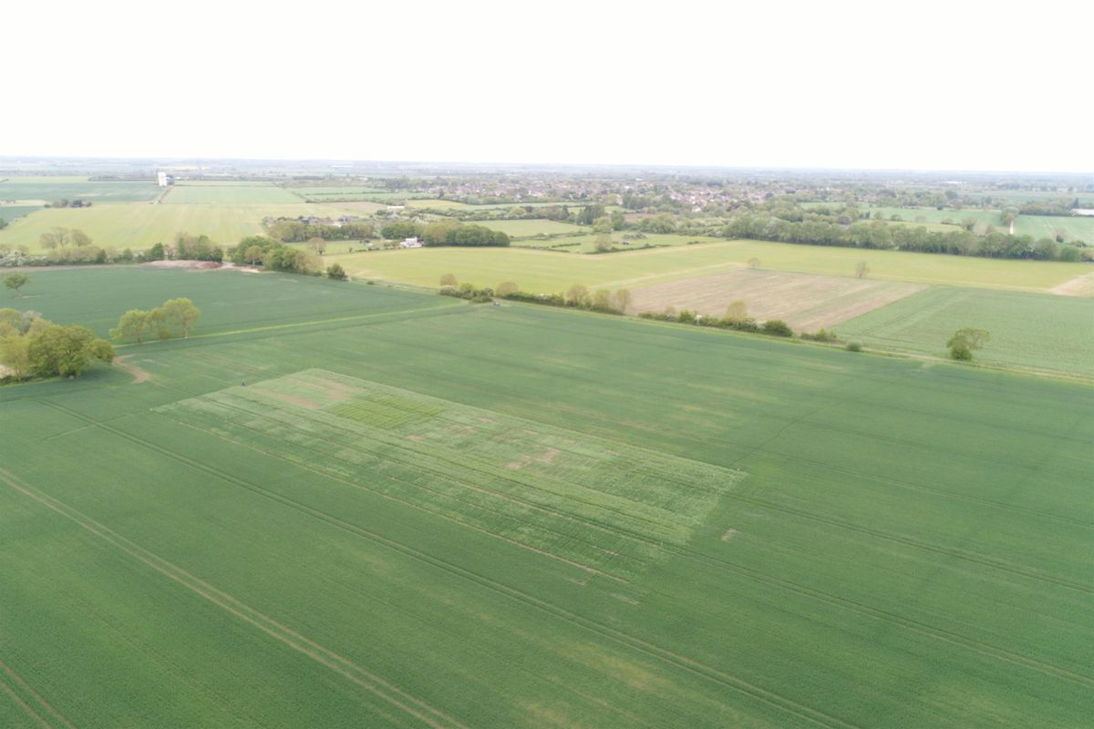 W**d Science Field Walk and Networking Event, 5 June | Event in Cambridge | AllEvents