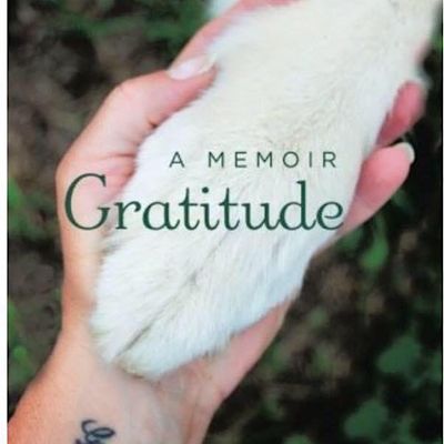 I've Been Framed along with author Laura Steenrod logo