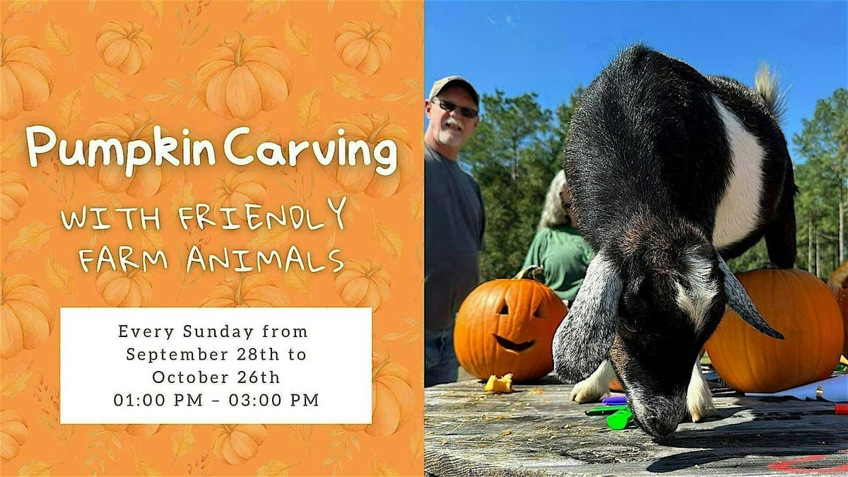 Pumpkin Carving with Friendly Farm Animals, 28 September | Event in Santee | AllEvents
