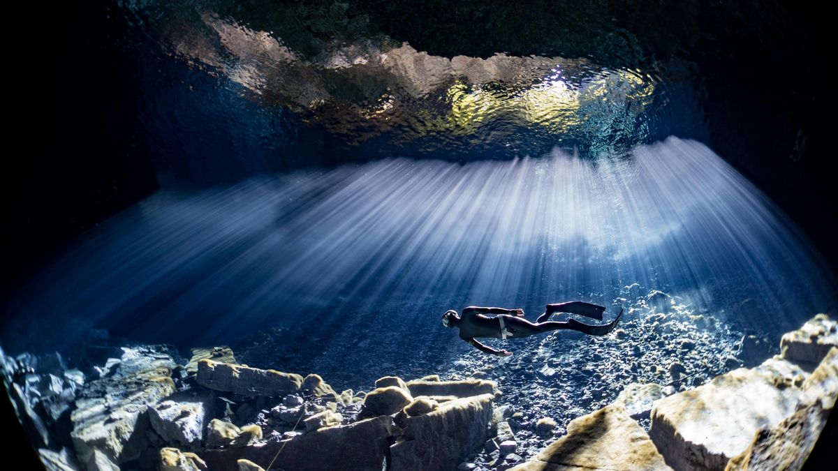 Foundation Course  - NoTanx Freediving - 12th October 2025, 12 October | Event in London | AllEvents