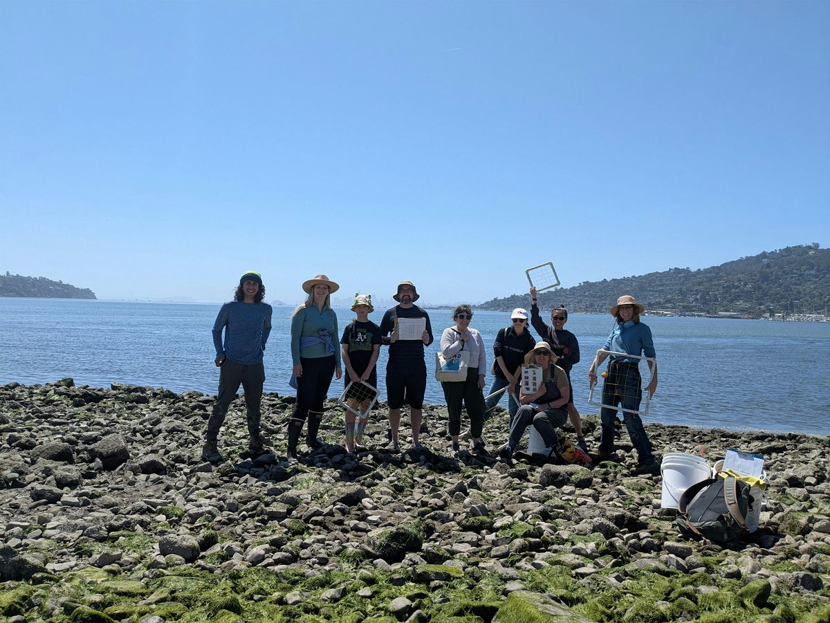Community Oyster Science Opportunity at Point Molate (COSMO #2)!, 14 June | Event in Richmond | AllEvents