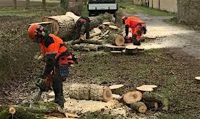 NPTC Chainsaw Maintenance & Crosscutting with Felling Trees up to 380mm, 11 May | Event in Inverness | AllEvents