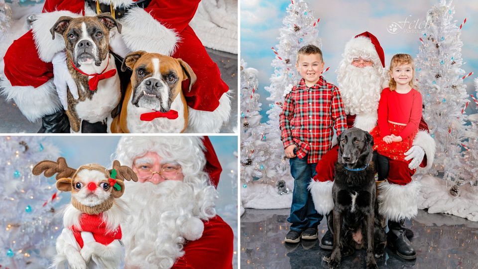 Holiday Pet Portraits Lombard, IL (Santa Optional), CrossFit Alpha Dog, Oakbrook Terrace