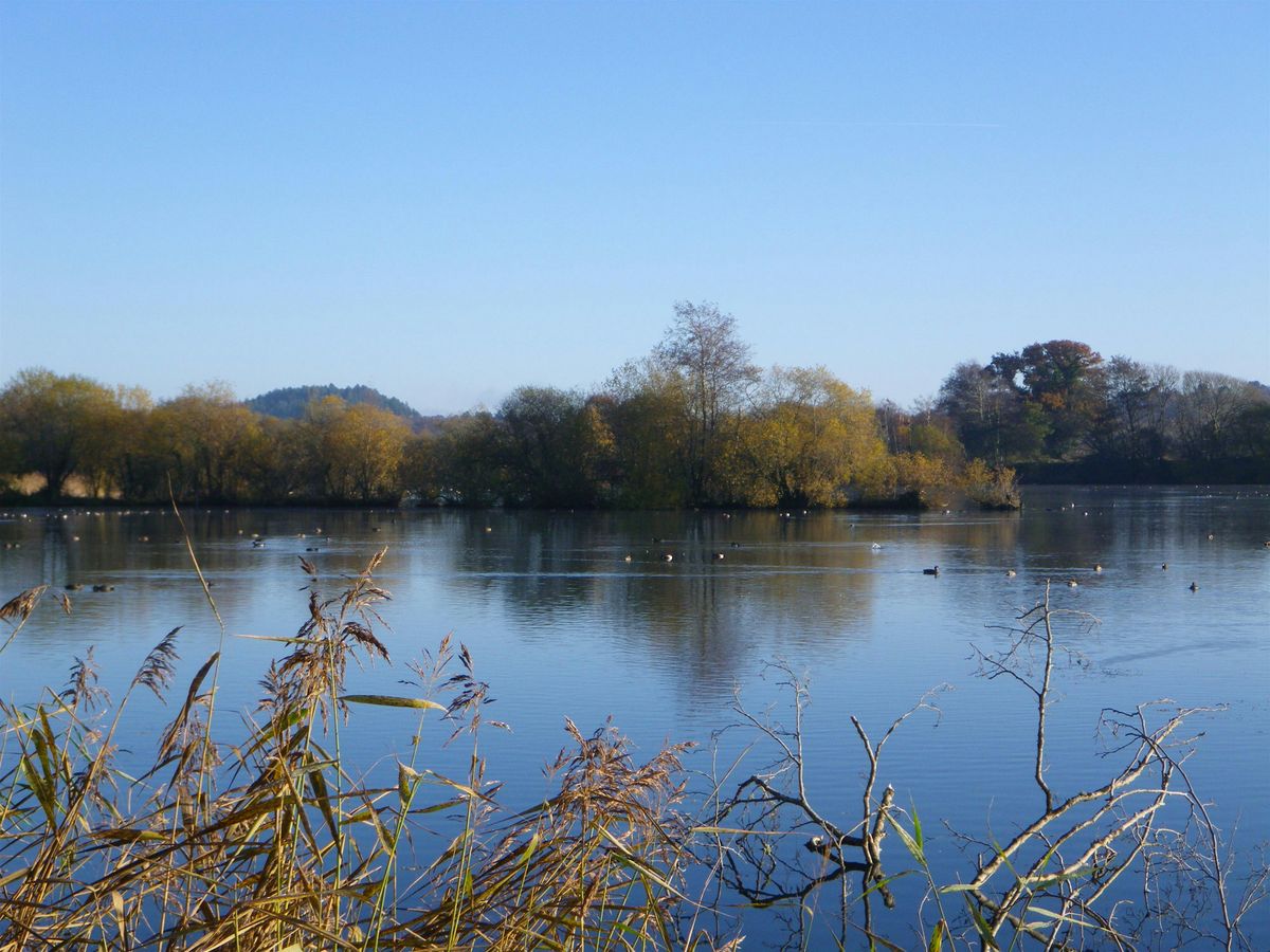 Blashford Lakes Wildlife Tots, 5 December | Event in Ringwood | AllEvents