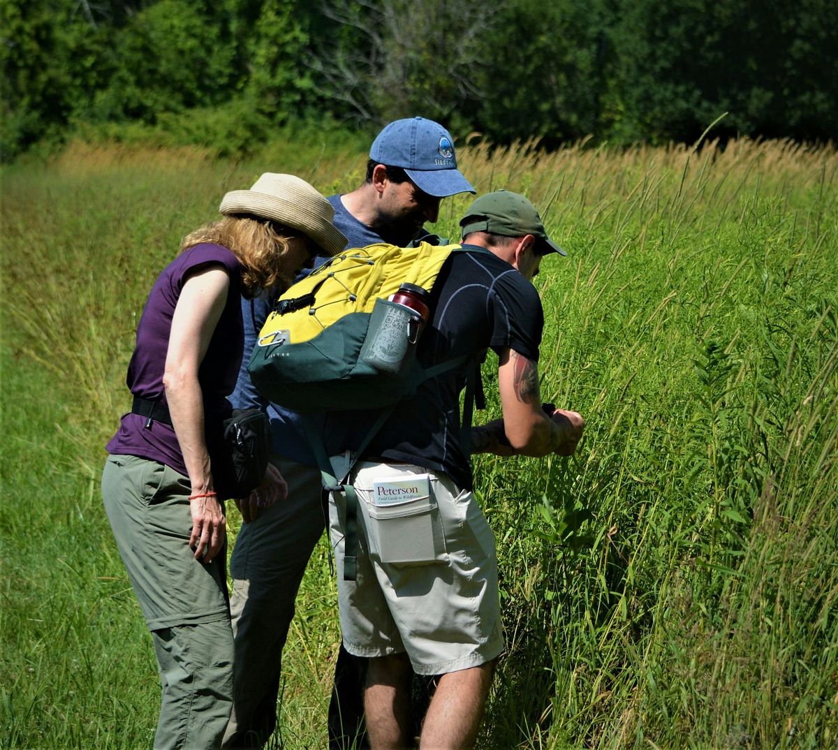 iNaturalist Quest: Exploring North Salem’s Biodiversity, 23 August | Event in North Salem | AllEvents