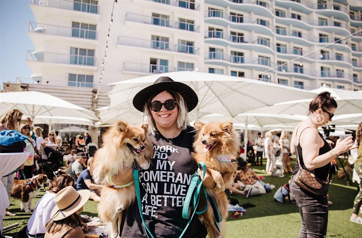 Pup Fest at Paséa Hotel & Spa, 29 June | Event in Huntington Beach | AllEvents