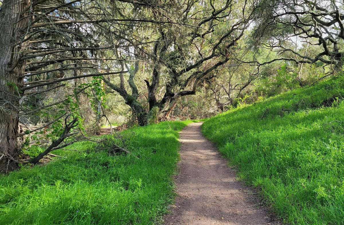Exploring the Trails of Orcutt/Explorando los senderos de Orcutt, 5 July | Event in Orcutt | AllEvents