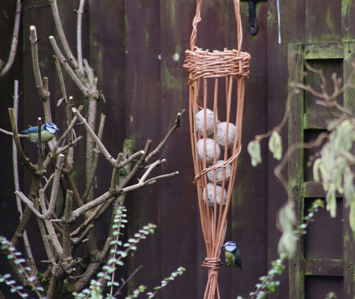 Willow Weaving Workshop: Make Your Own Bird Feeder, 6 December | Event in Luton | AllEvents