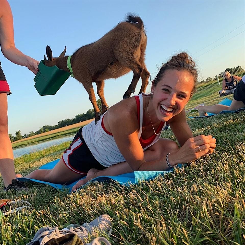 Goat Yoga at Adam Puchta Winery - Hermann, MO, 31 May | Event in Hermann | AllEvents