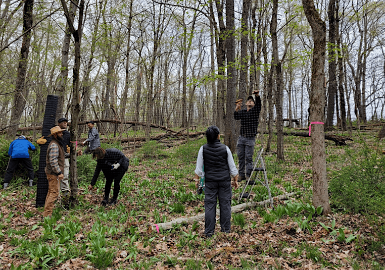 Deer Exclosure Workshop, 11 October | AllEvents