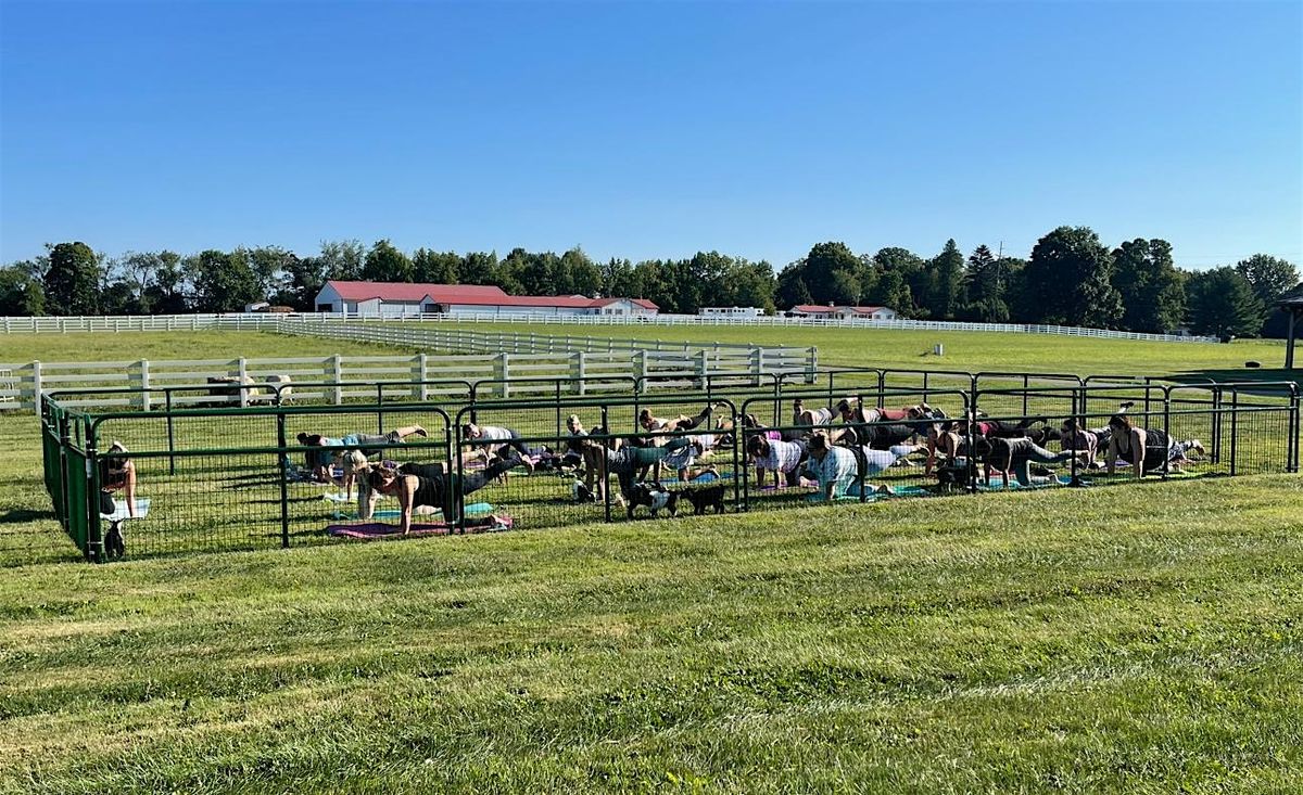 Outdoor Goat Yoga at Barkheimer Barns, 15 June | Event in Massillon | AllEvents