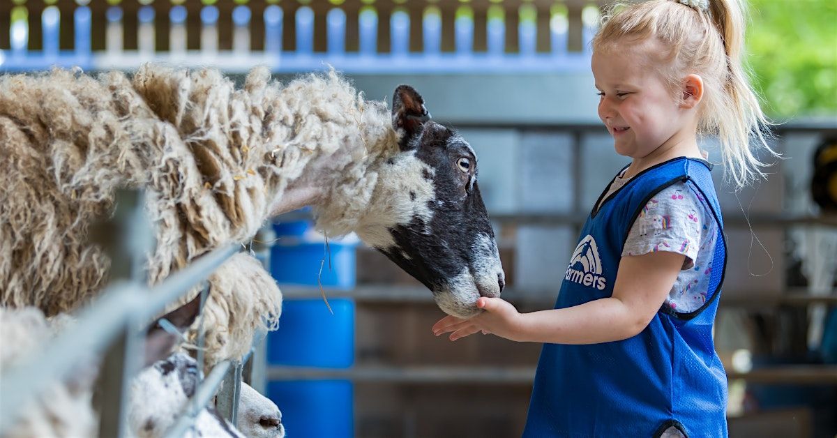 Thrift Farm Day Nursery & Pre-School Open Day - 1st November | Event in Milton Keynes | AllEvents