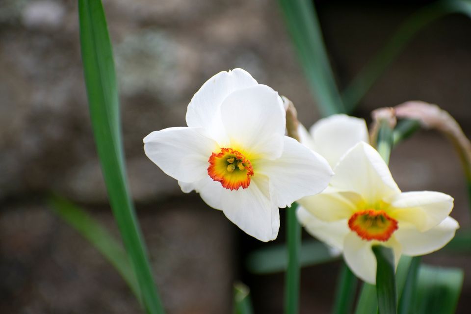 Village Earth Days, 29 Stallion Hill Road, Sturbridge, MA, United