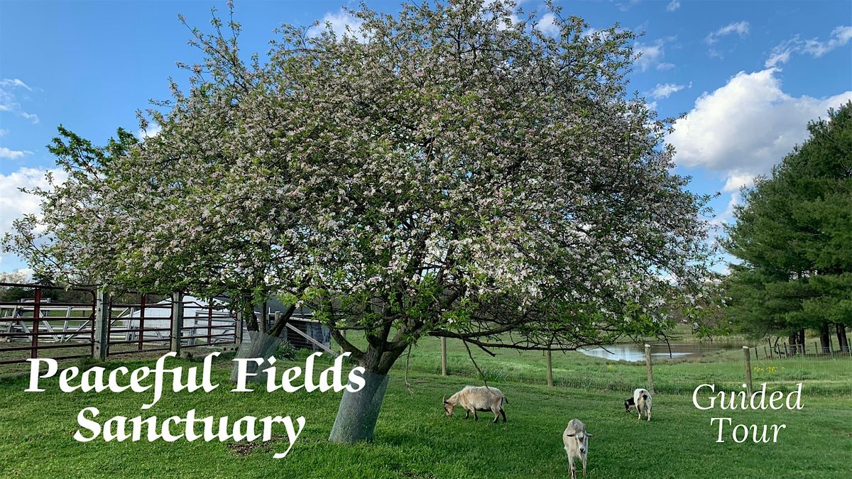 June Guided Tour of Peaceful Fields Sanctuary, 29 June | Event in Winchester | AllEvents
