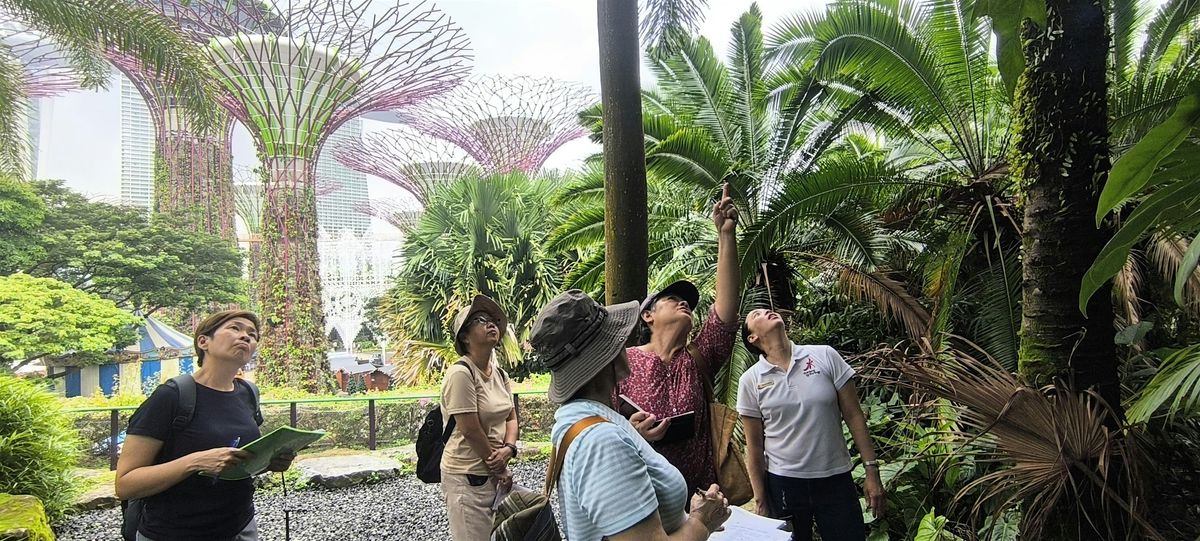 Nature & Sustainability Tour: A Sensory Stroll -Hidden in Plain Sight [Dec], 6 December | Event in Singapore