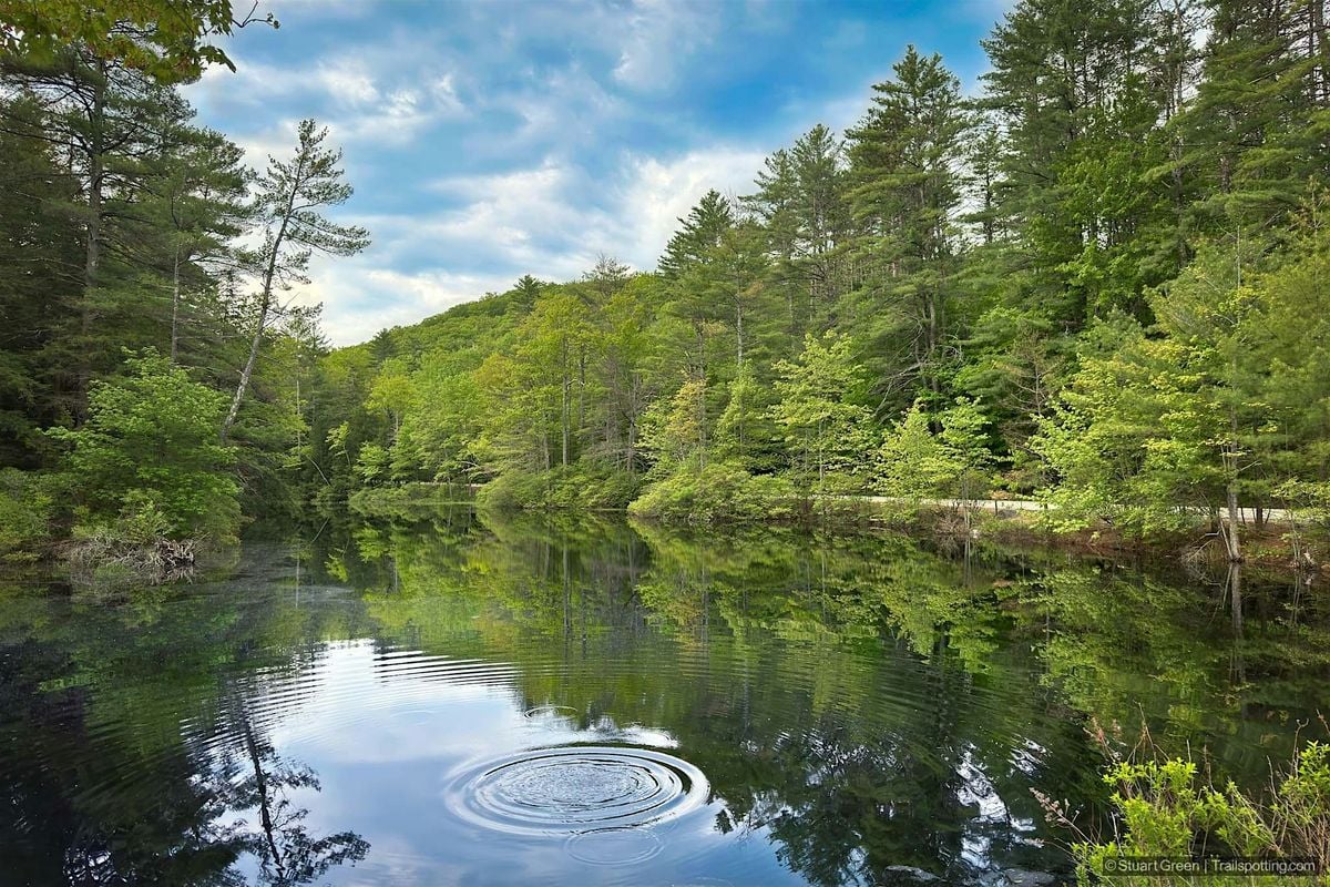 Marjory Swope Park Guided Hike with Ample Access Outdoors, 31 August | Event in Concord | AllEvents