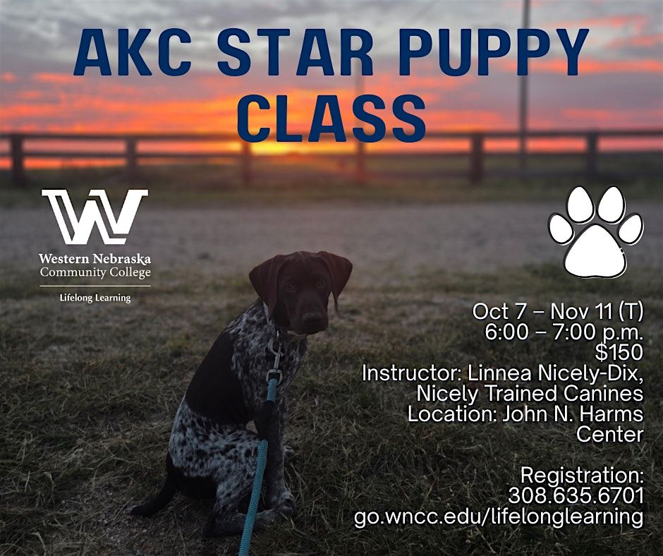 Puppy Class Akc Star Puppy Test Items Obedience Training Akc Puppy